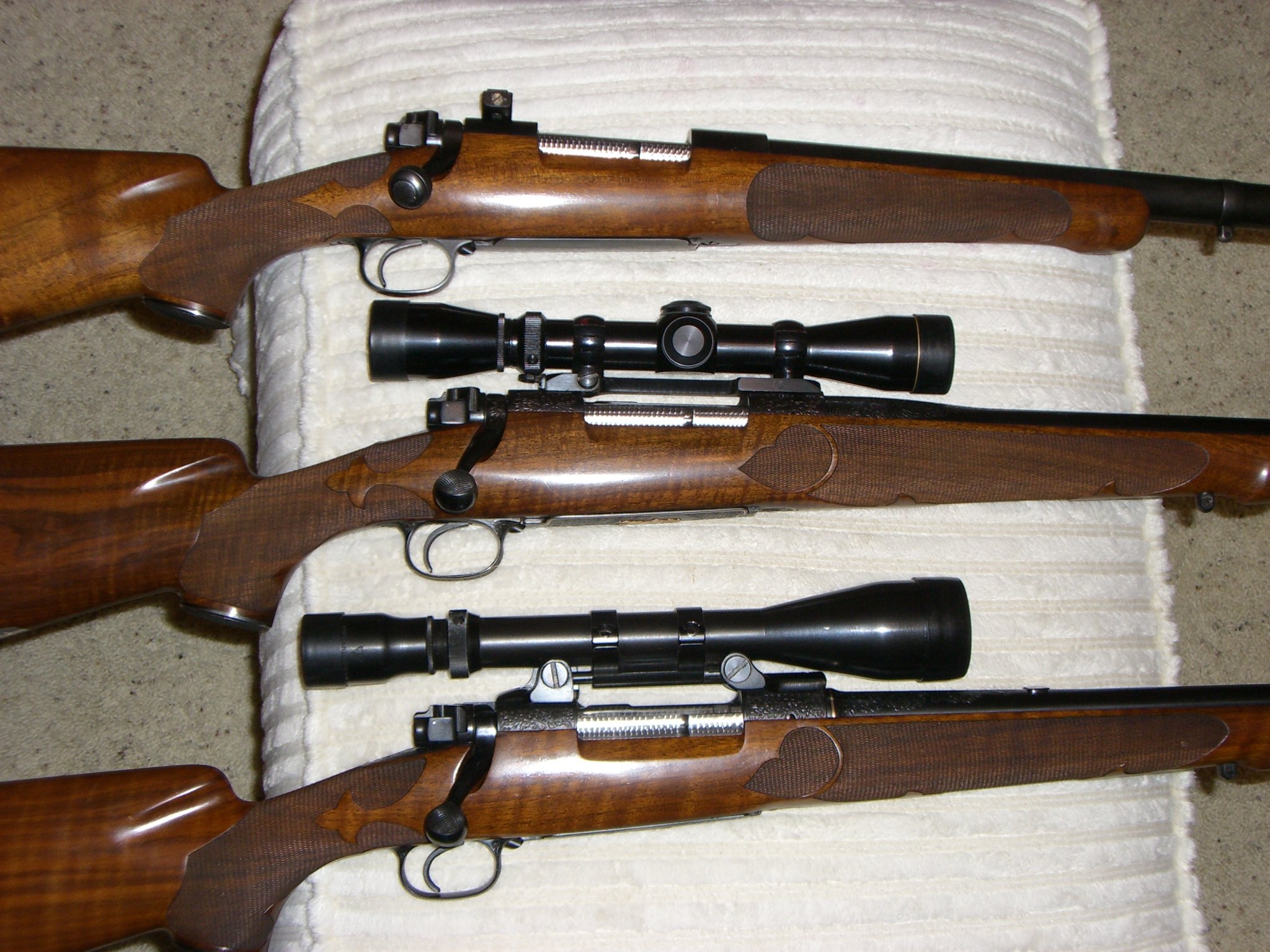 CIMG0250.JPG