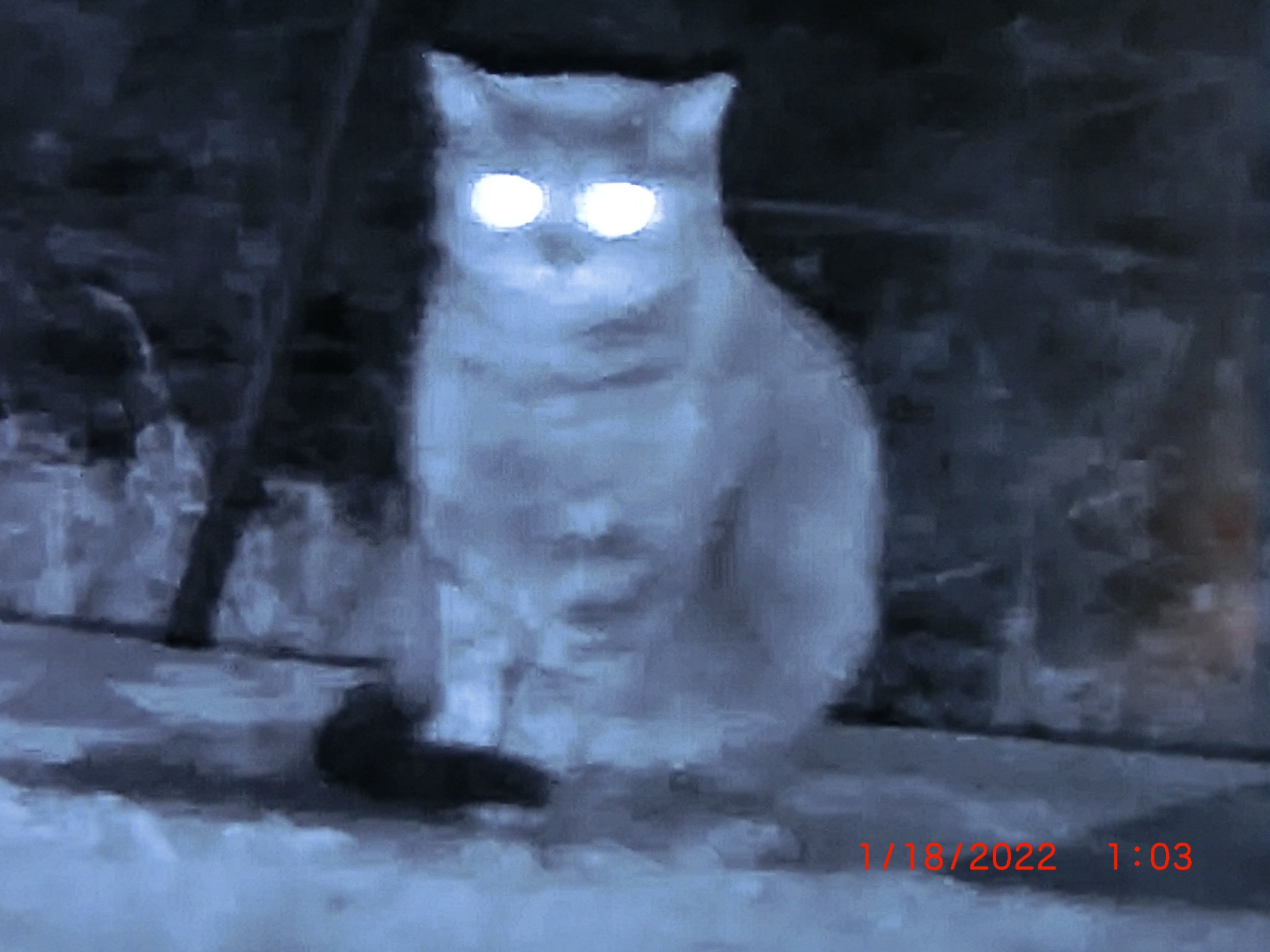 CIMG1370.JPG