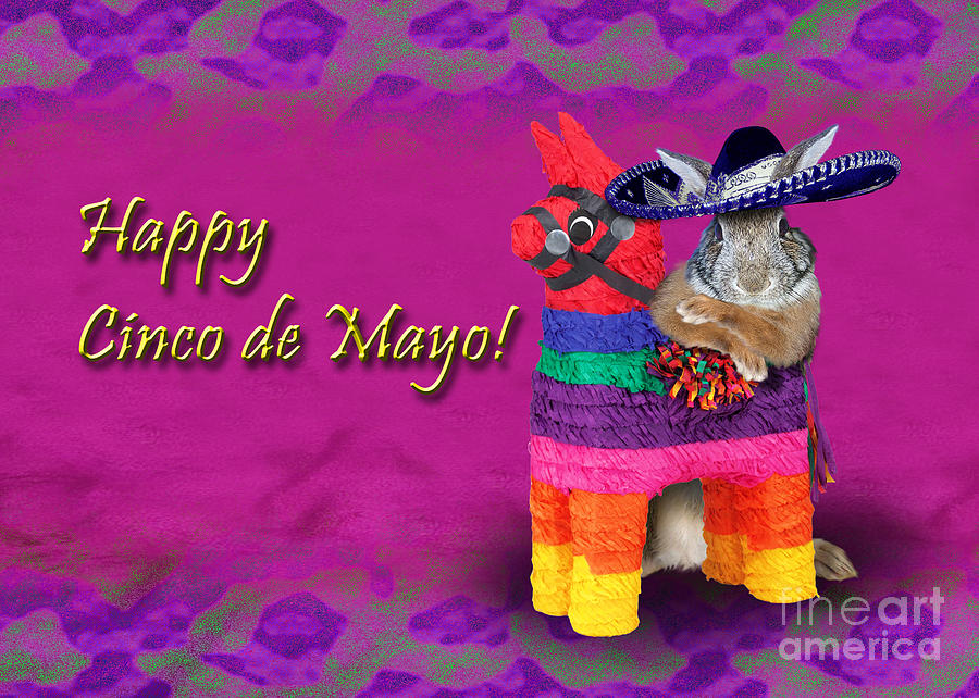 cinco-de-mayo-bunny-rabbit-jeanette-kabat.jpg