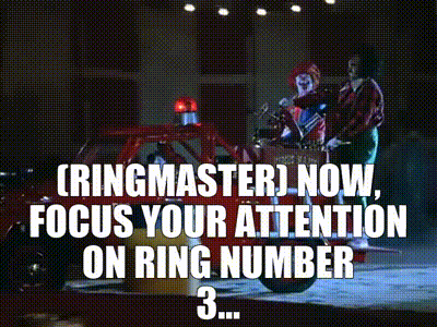 circus gif.gif