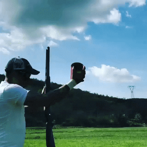 clay2.gif