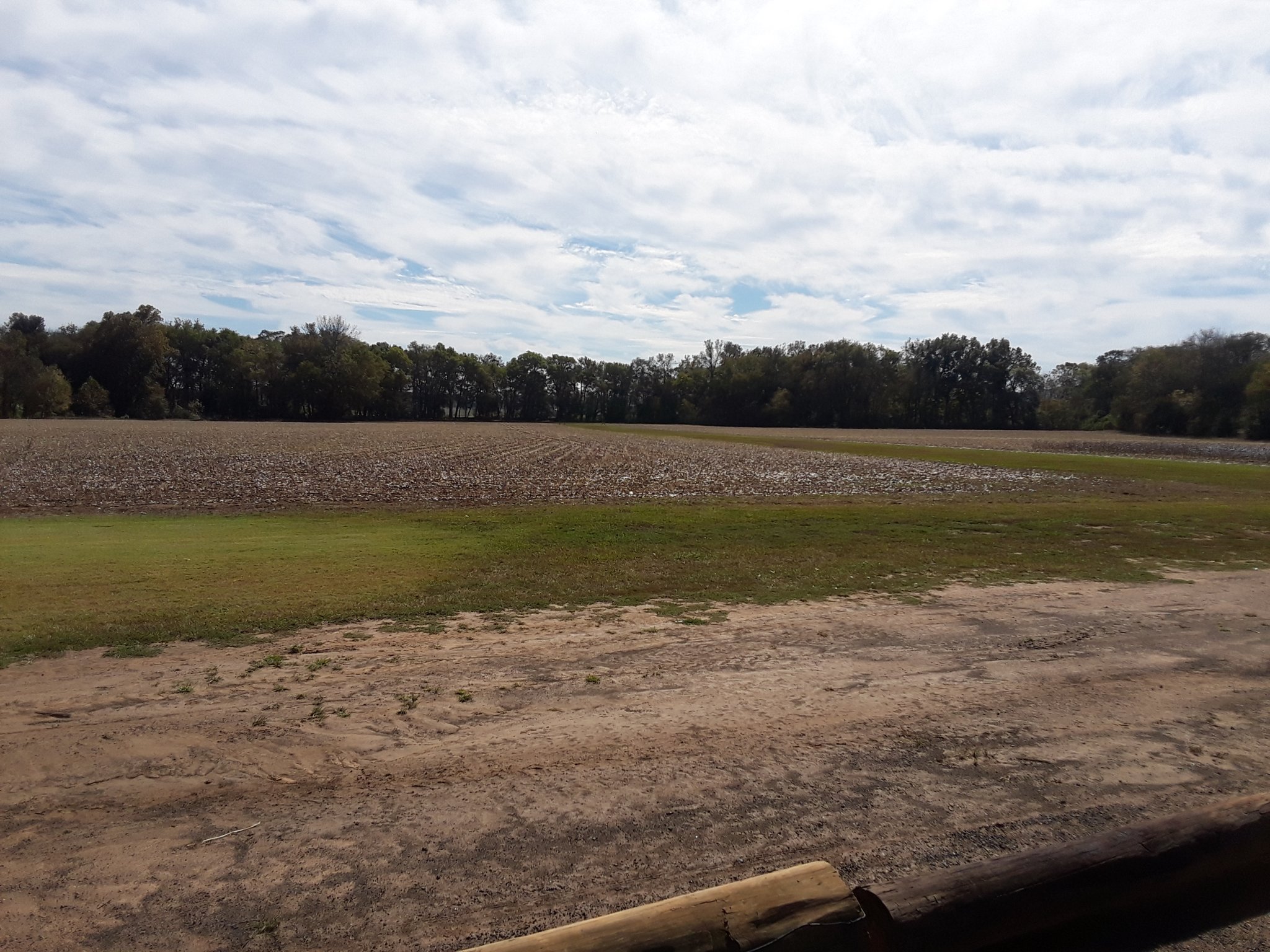 clear field.jpg