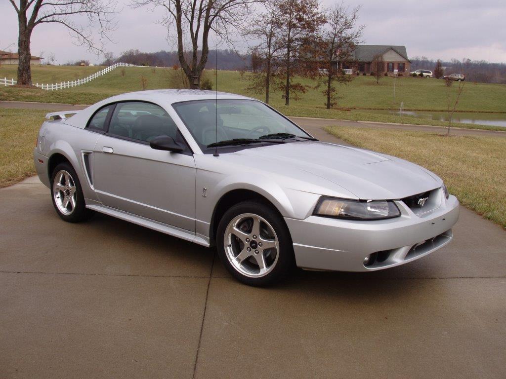 Cobra3.jpg