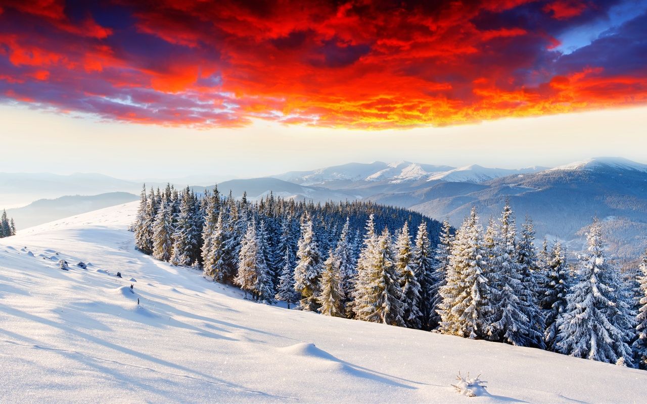 cold-winter-thick-snow-sunrise-glow-forest-mountains_1280x800.jpg