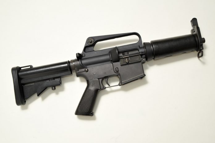 colt.jpg