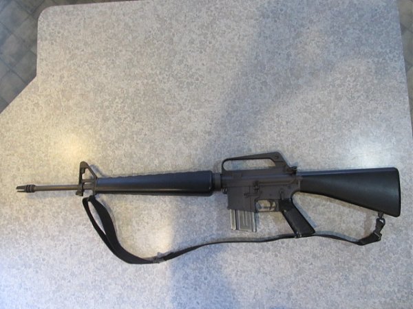 Colt sp1.JPG