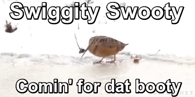 coming-for-that-booty-gif.gif