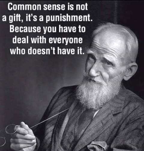 Common Sense.jpg