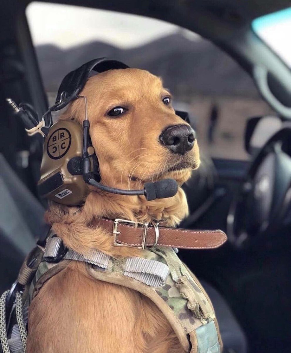 comms.jpg