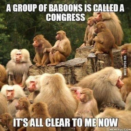 Congress.jpg