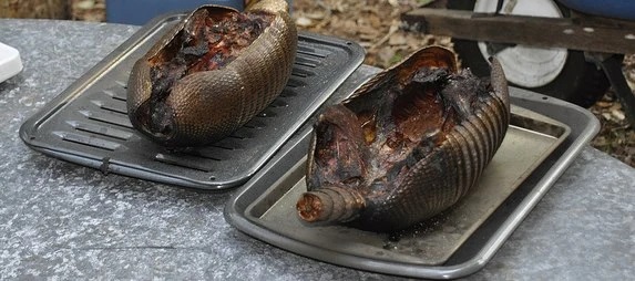 cooked dillo.jpg