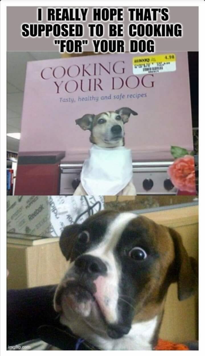 cooking dog.jpg