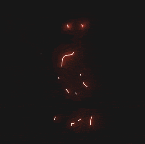 cool-1.gif