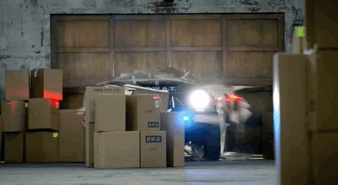 cop02.gif