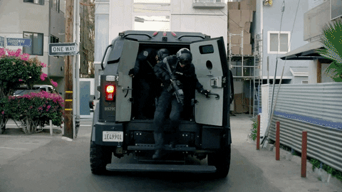 cop03.gif