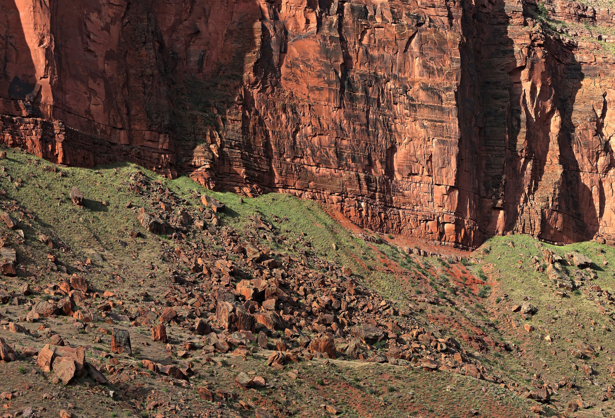 CoRiver Pan 2 ED4CR sz2.jpg