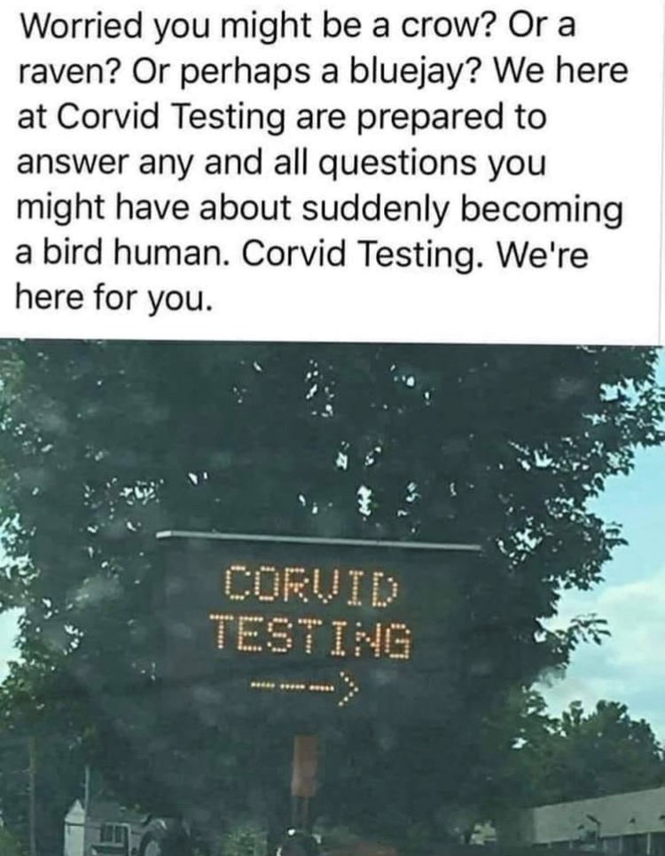 corvid testing.jpg