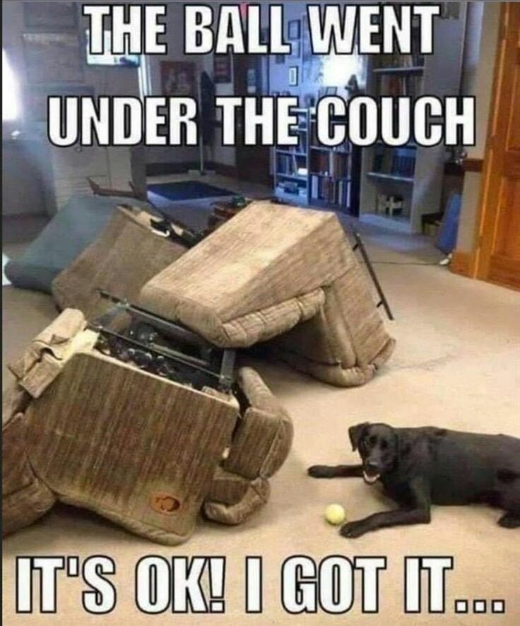 couch.jpg