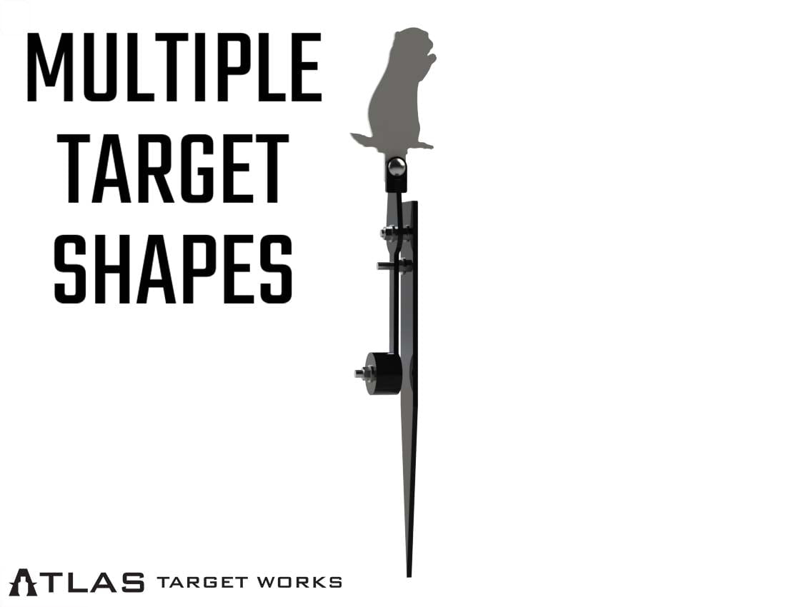 CoverImage-Gopher-MultipleTargetShapes_1200x.jpg