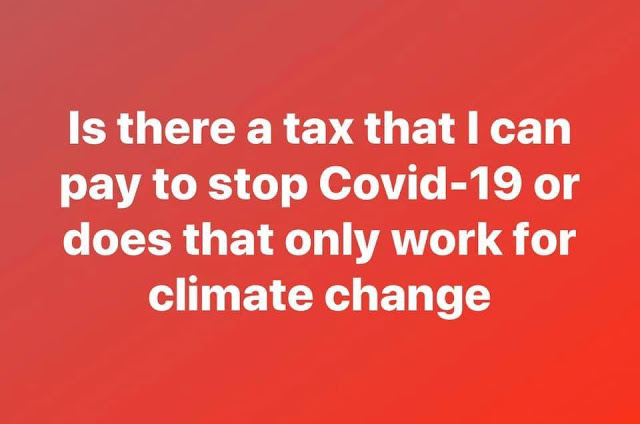 covid climate change.jpg