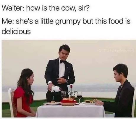 cow.jpeg
