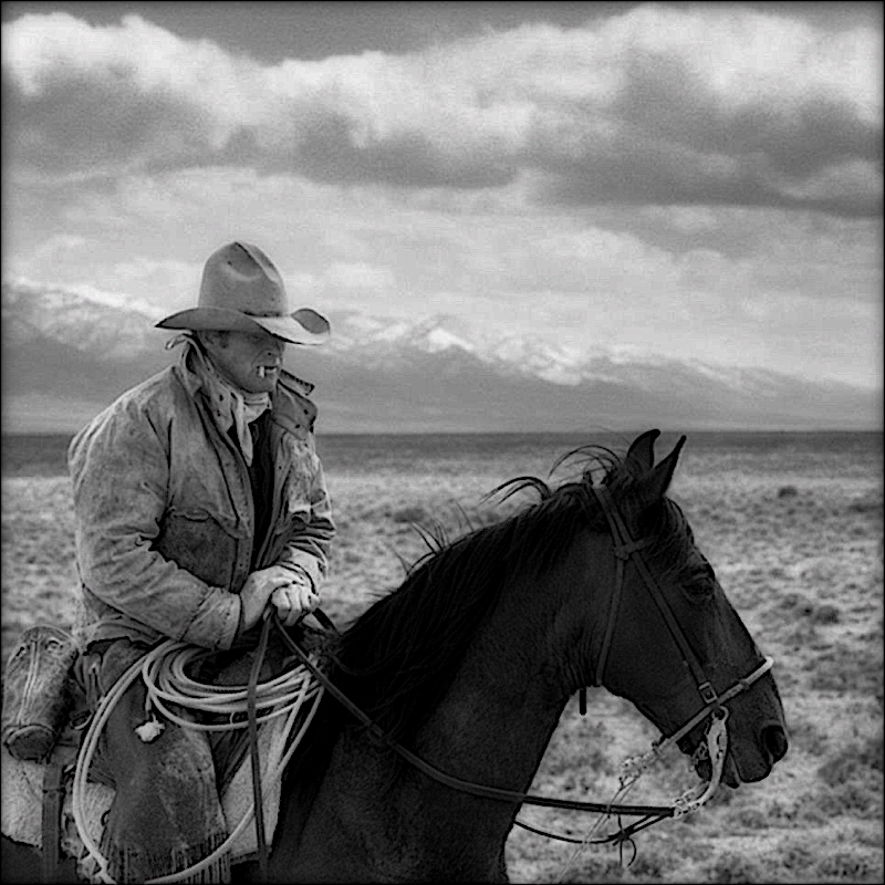 cowboy.png