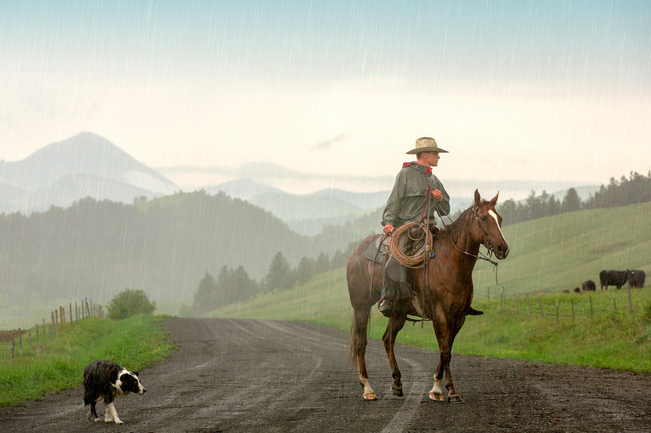 cowboy-road.png