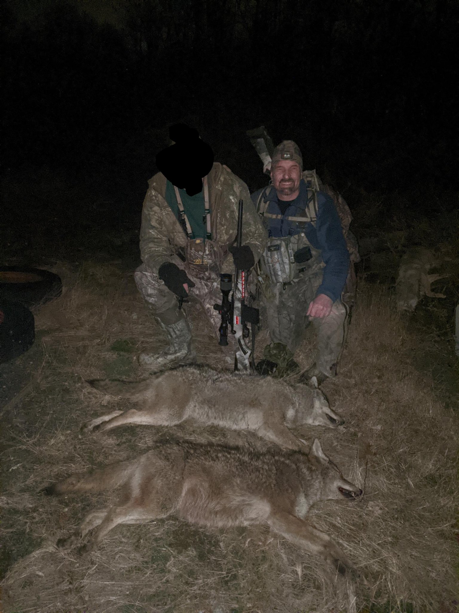 Coyote 320.jpg