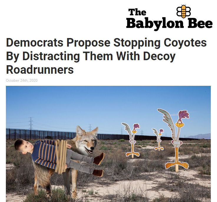 Coyote.jpg