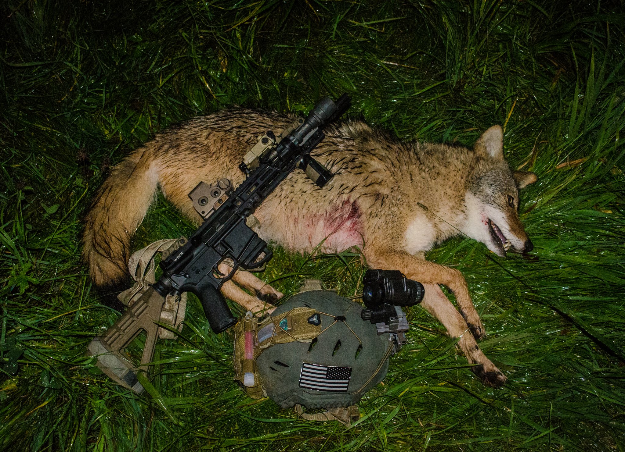 Coyote Kill.jpg