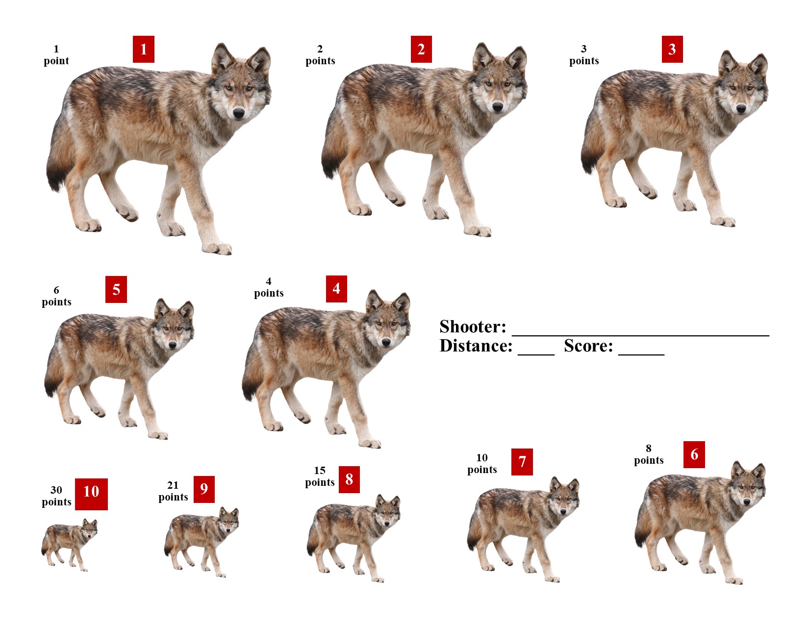 Coyote KYL Target B.jpg