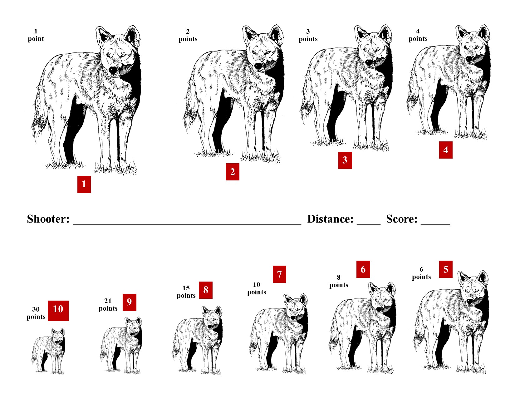 Coyote KYL Target C.jpg