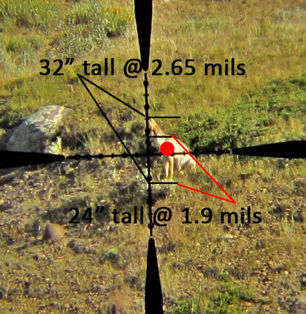 Coyote Ranging.jpg