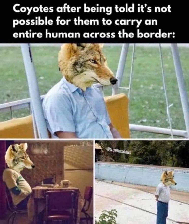coyotes-768x908.jpg