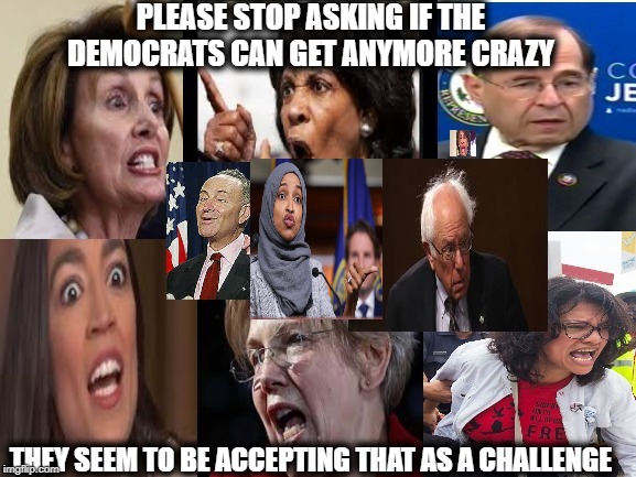 crazydems.jpg