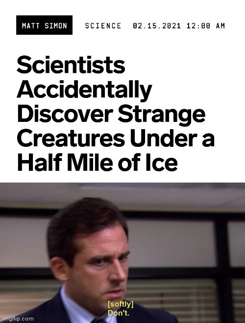creatures-in-ice-they-were-just-discovered-by-scientists-the-office-dont-michael-scott-steve-...jpeg