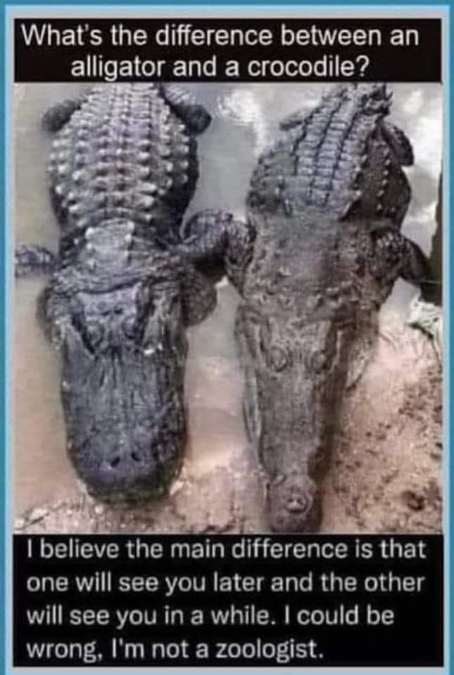 croc-a-gator.jpg