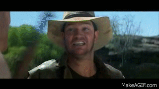crocodile-dundee-gif-7.gif