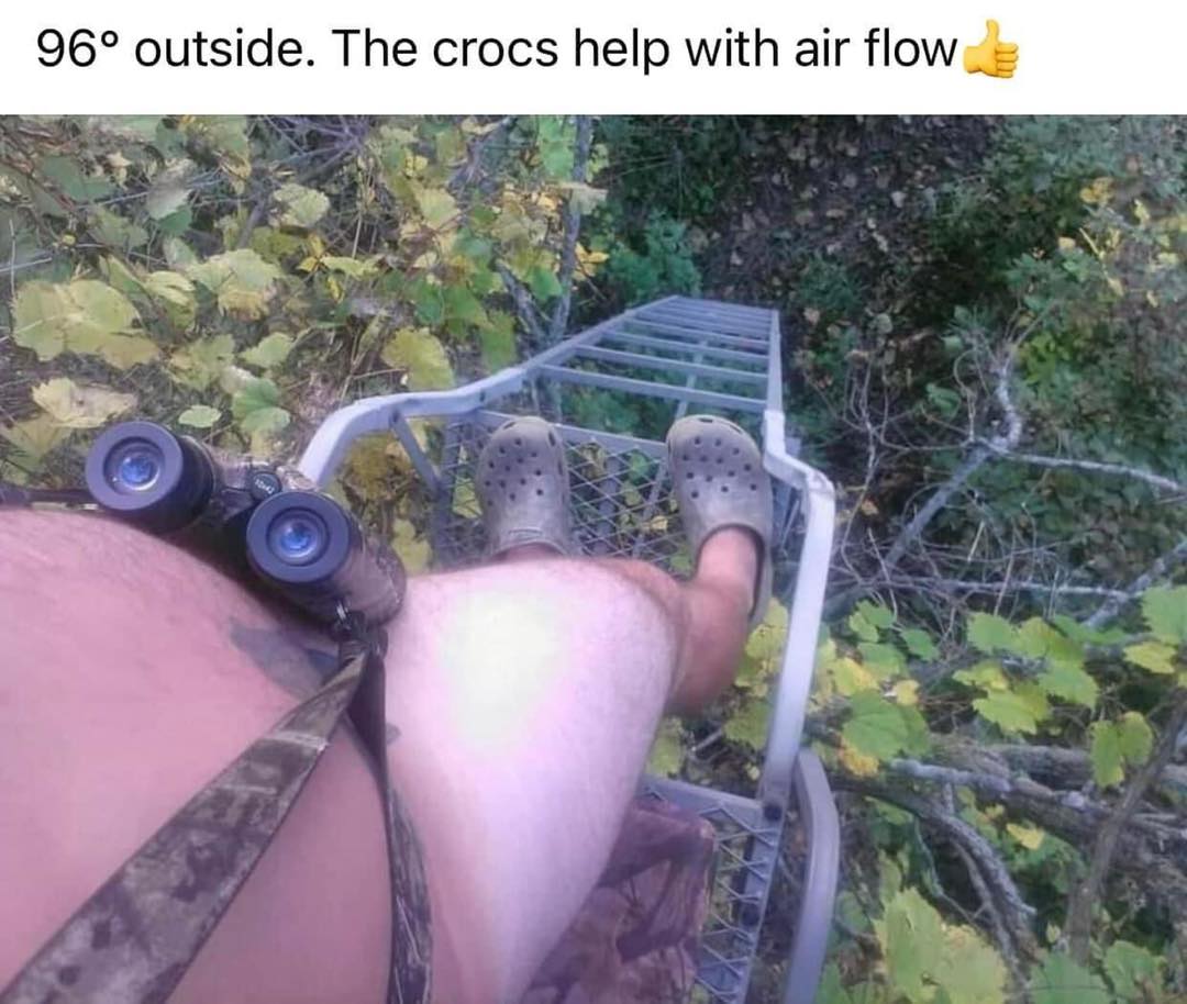 crocs.jpg