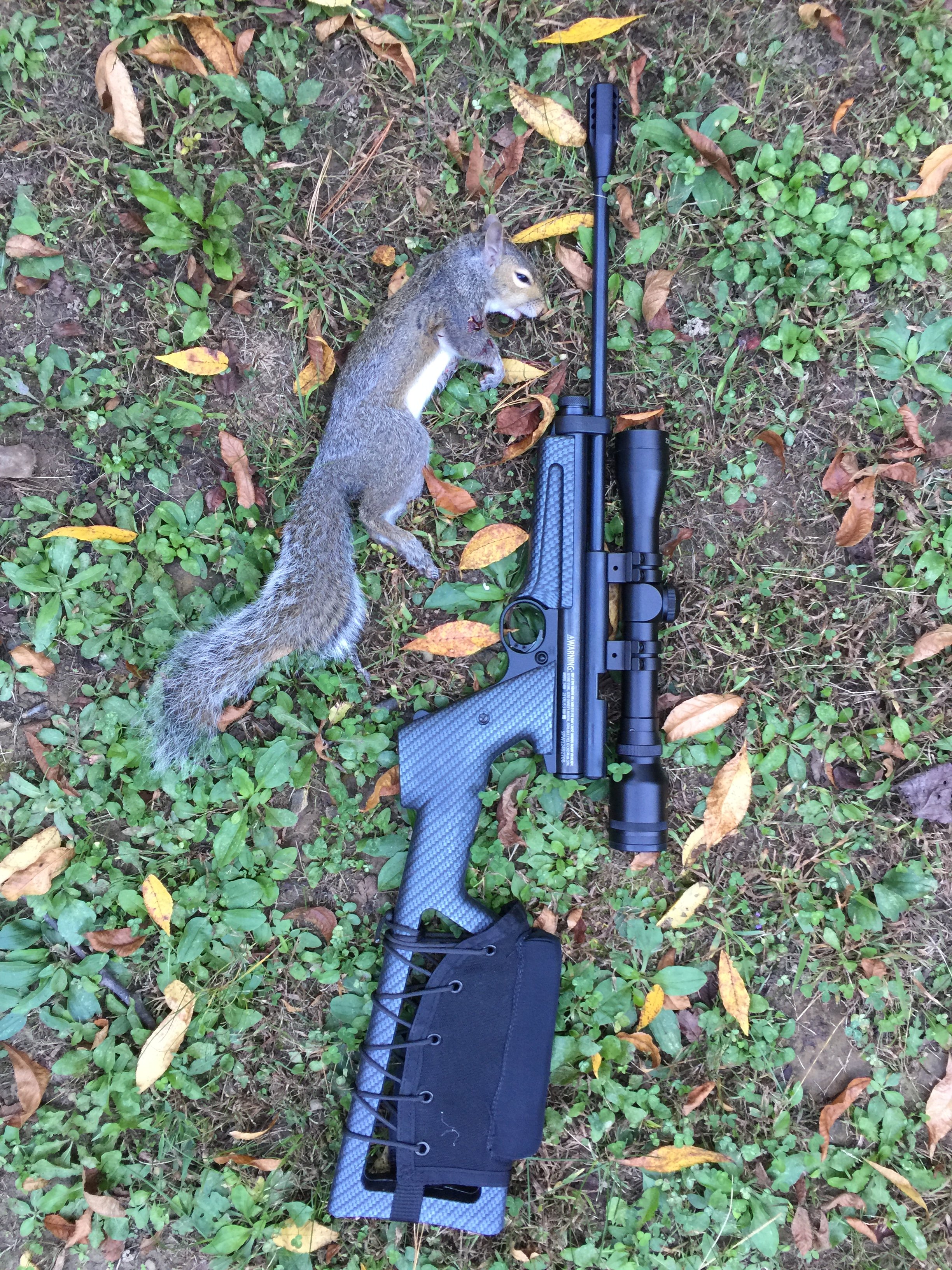 Crosman and Squirrel.JPG