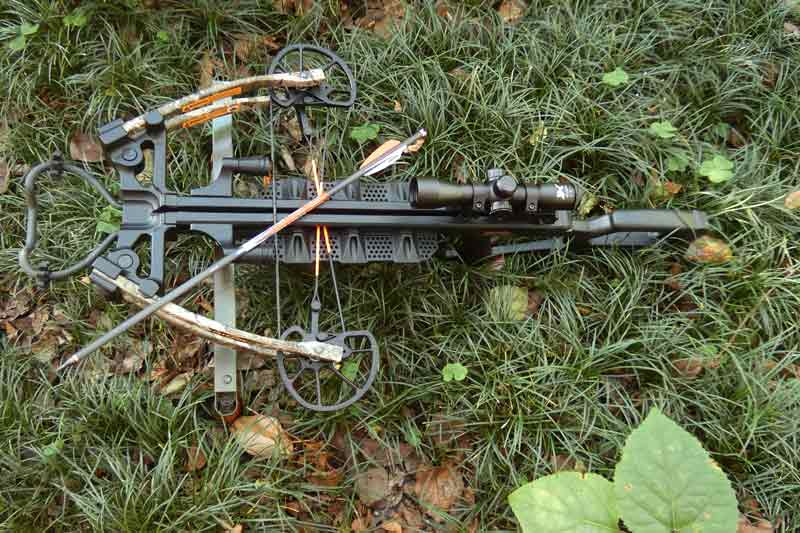 Crossbow-1.jpg