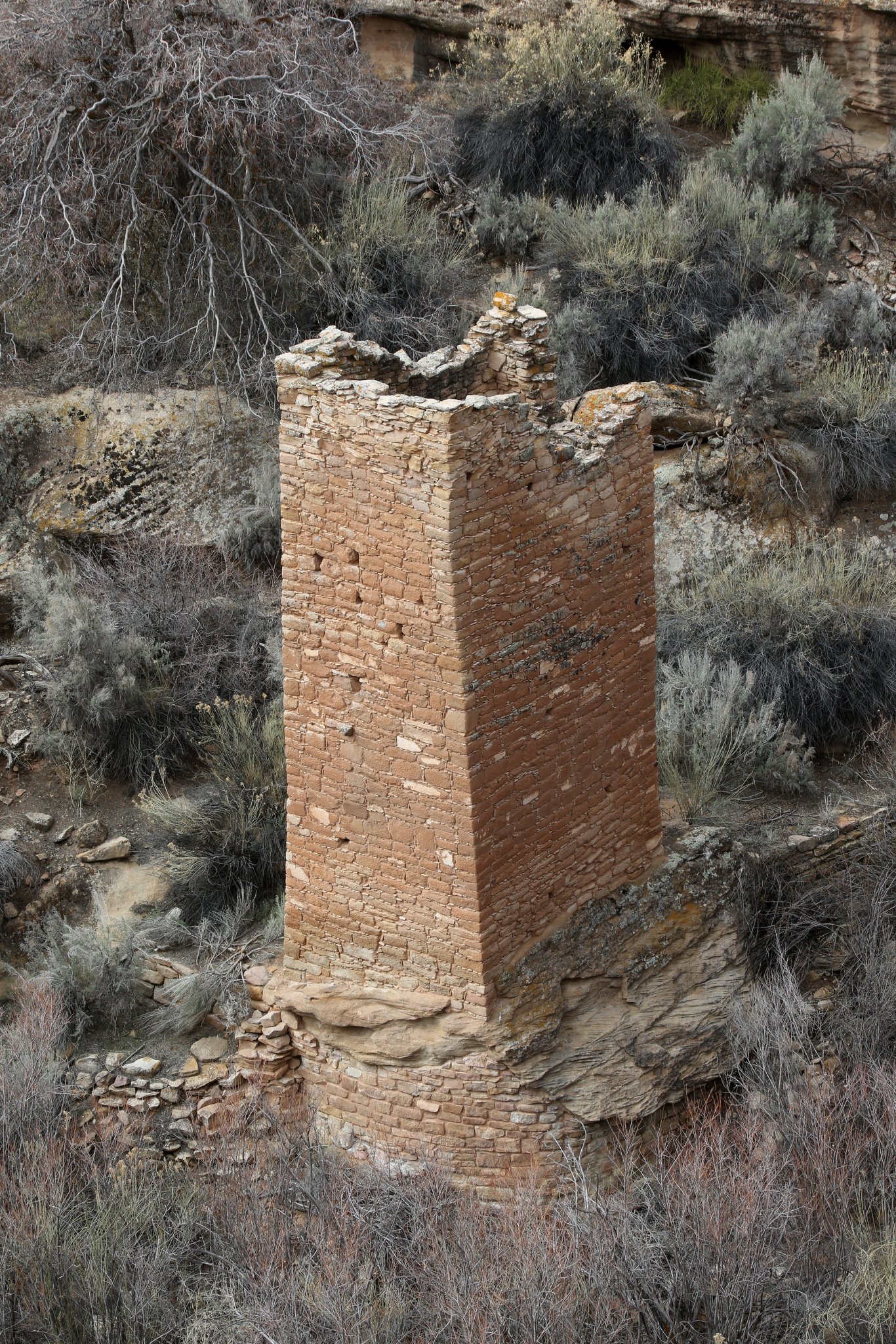 CV3B0409 Ed Sz.jpg