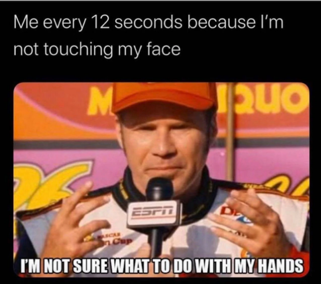 CV6.png