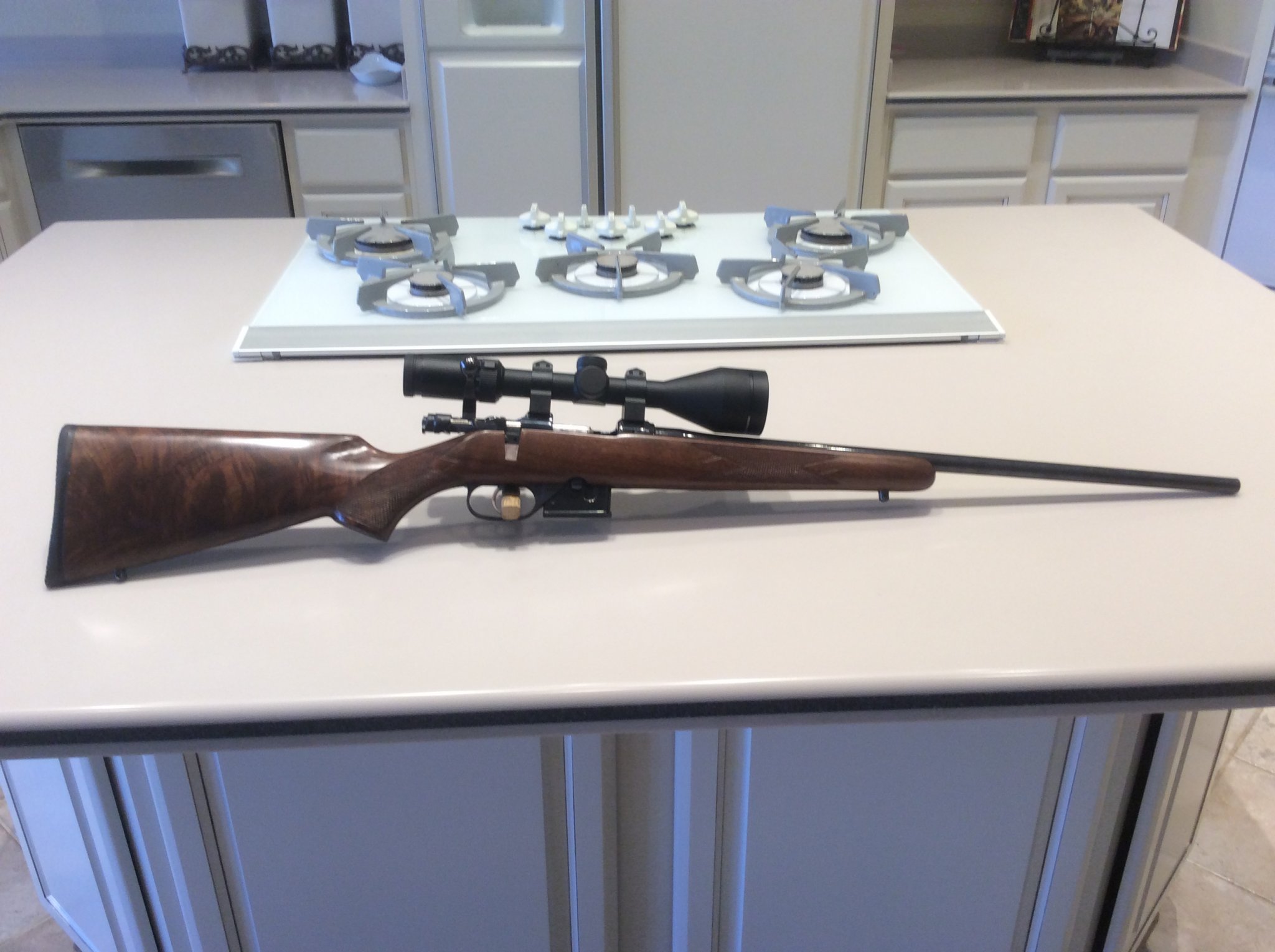 CZ 221 #1.jpg