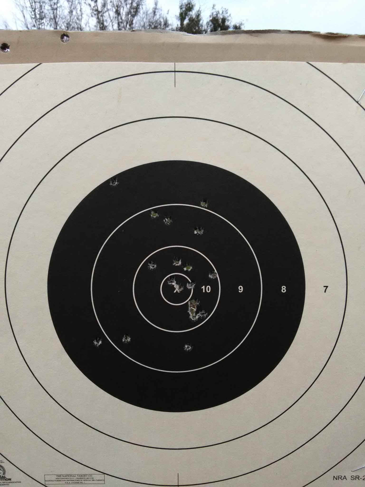CZ 452 20 rnds 100 yd 11-3-18.jpg