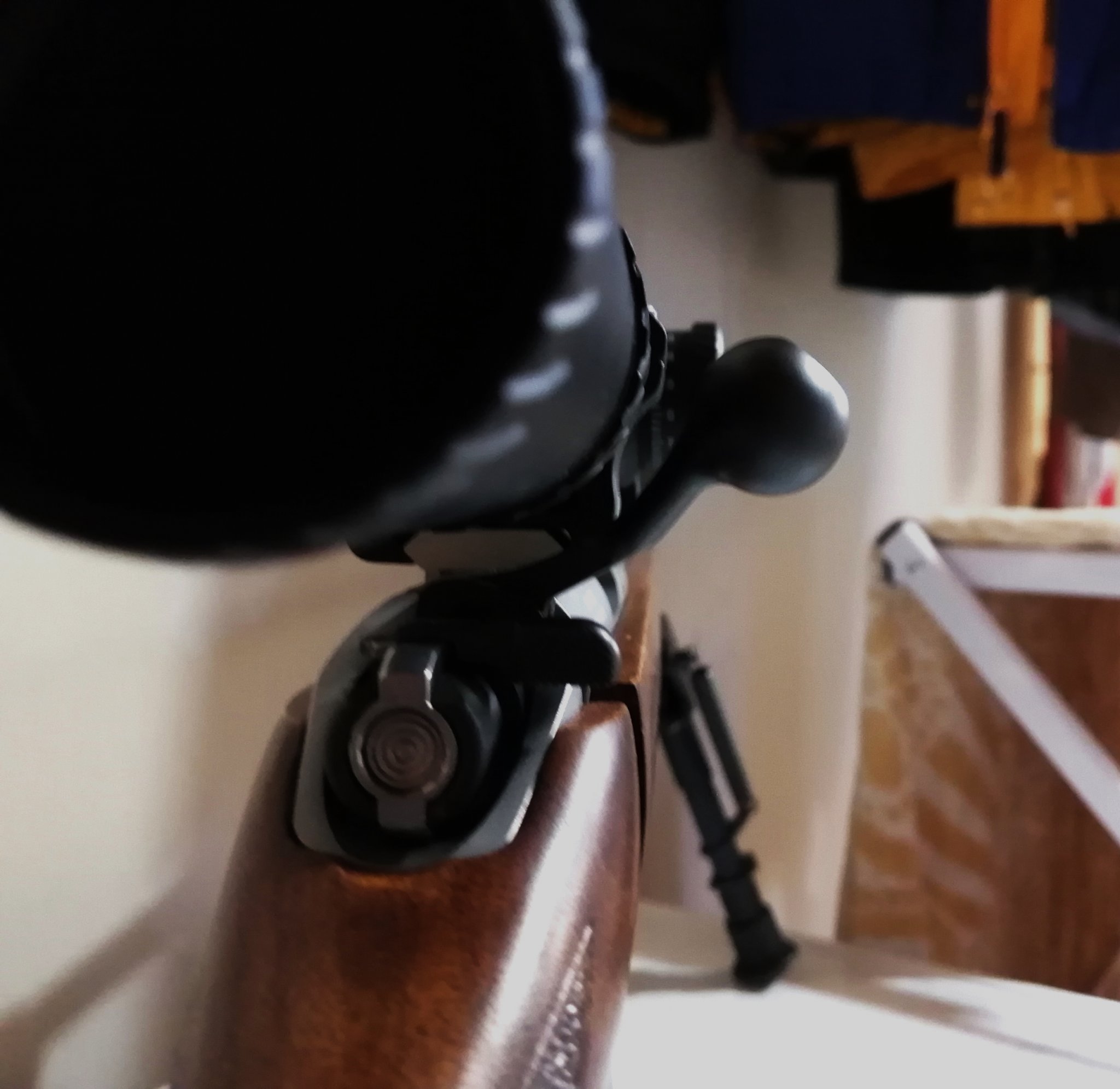 CZ-455 May-2022 Bolt-Scope #3.jpg