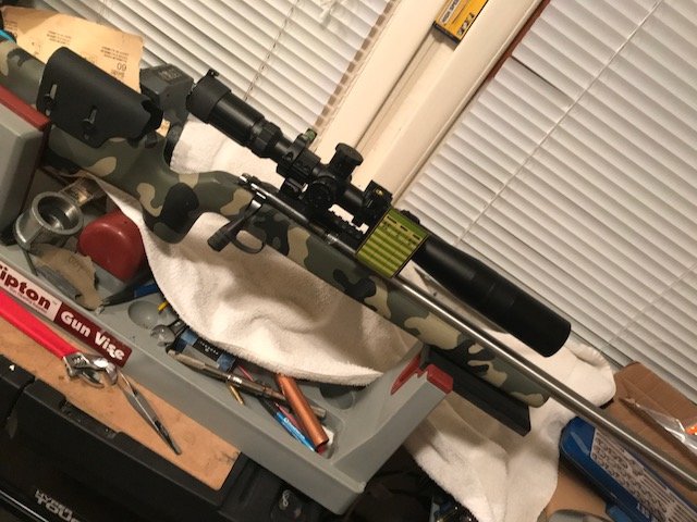 cz15.JPG