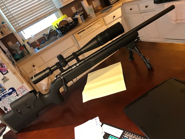 CZ5.jpg