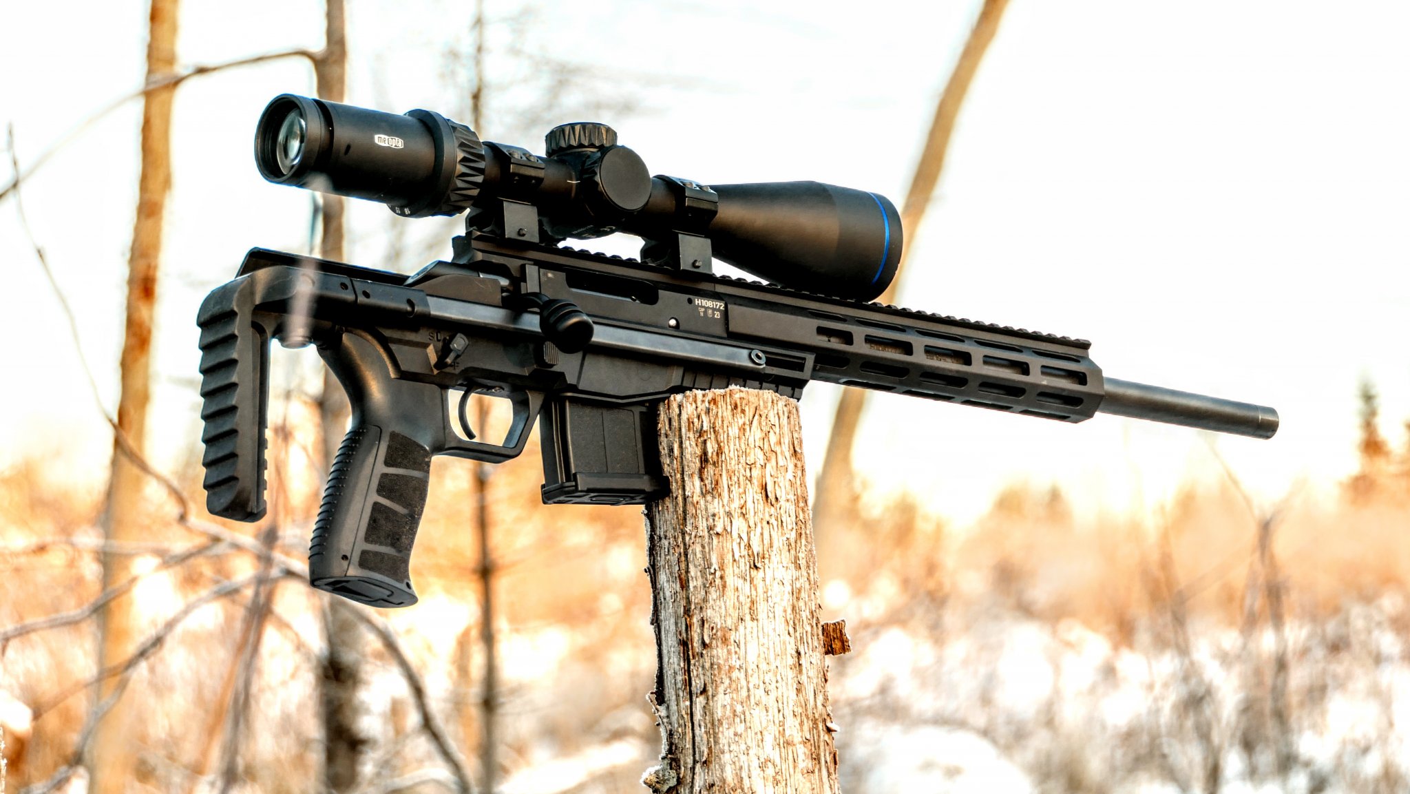 CZ8.JPG