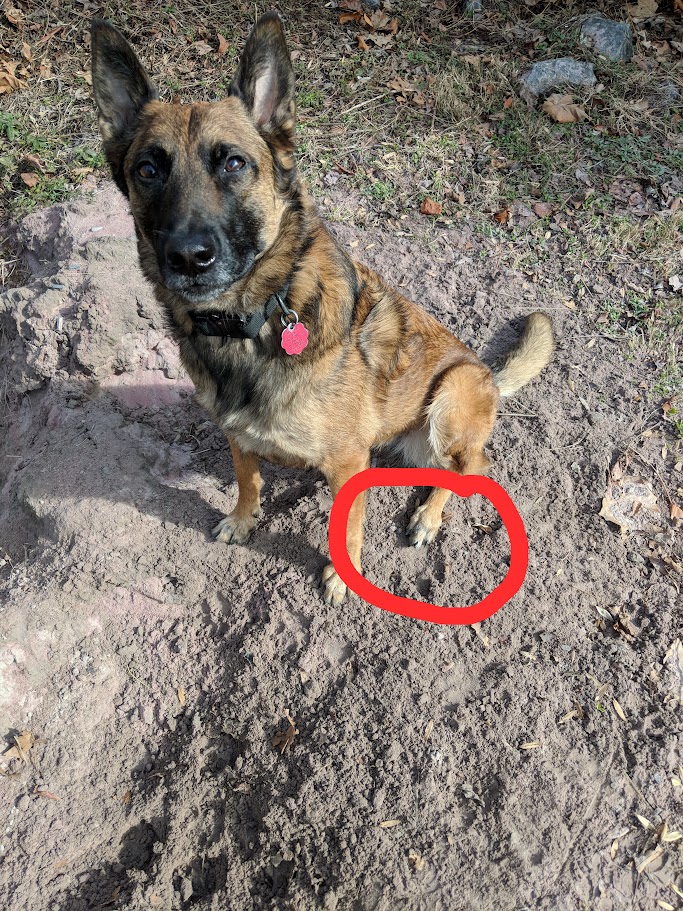 D sand pile.jpg